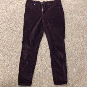 Velvet Maroon Pants
